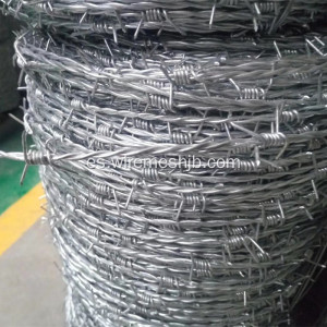 Tipo de doble filamento de alambre de púas de alta resistencia